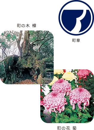 町章 町の木 樟 町の花 菊