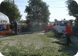 藍粉成し