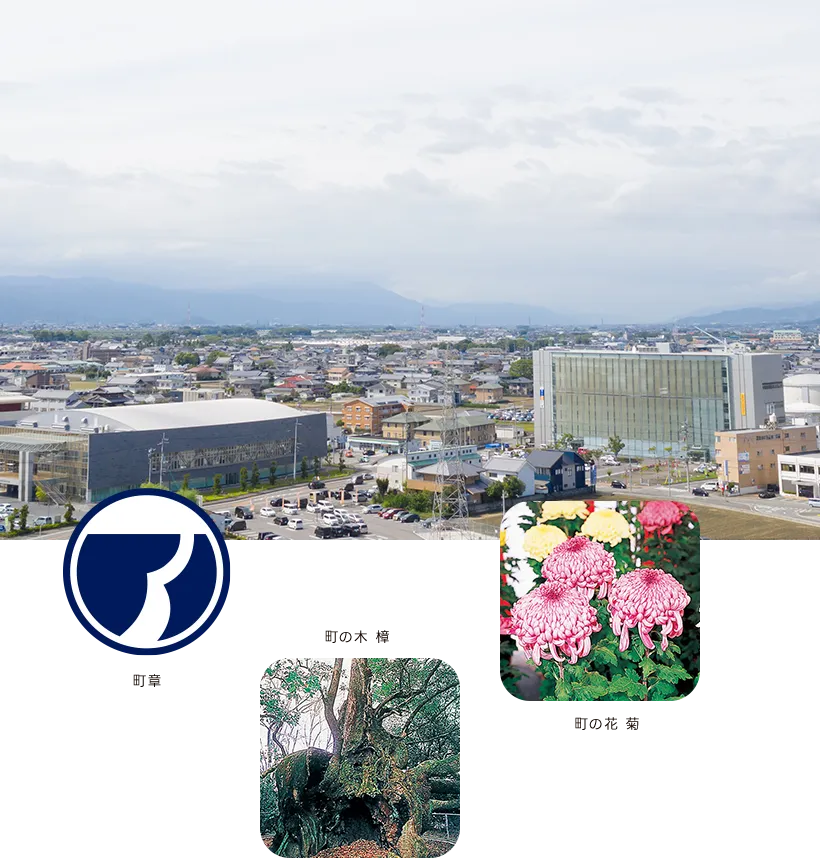 町章 町の木 樟 町の花 菊
